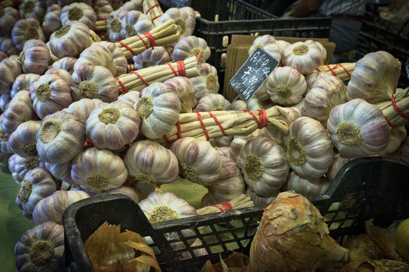 Fresh garlic bulbs