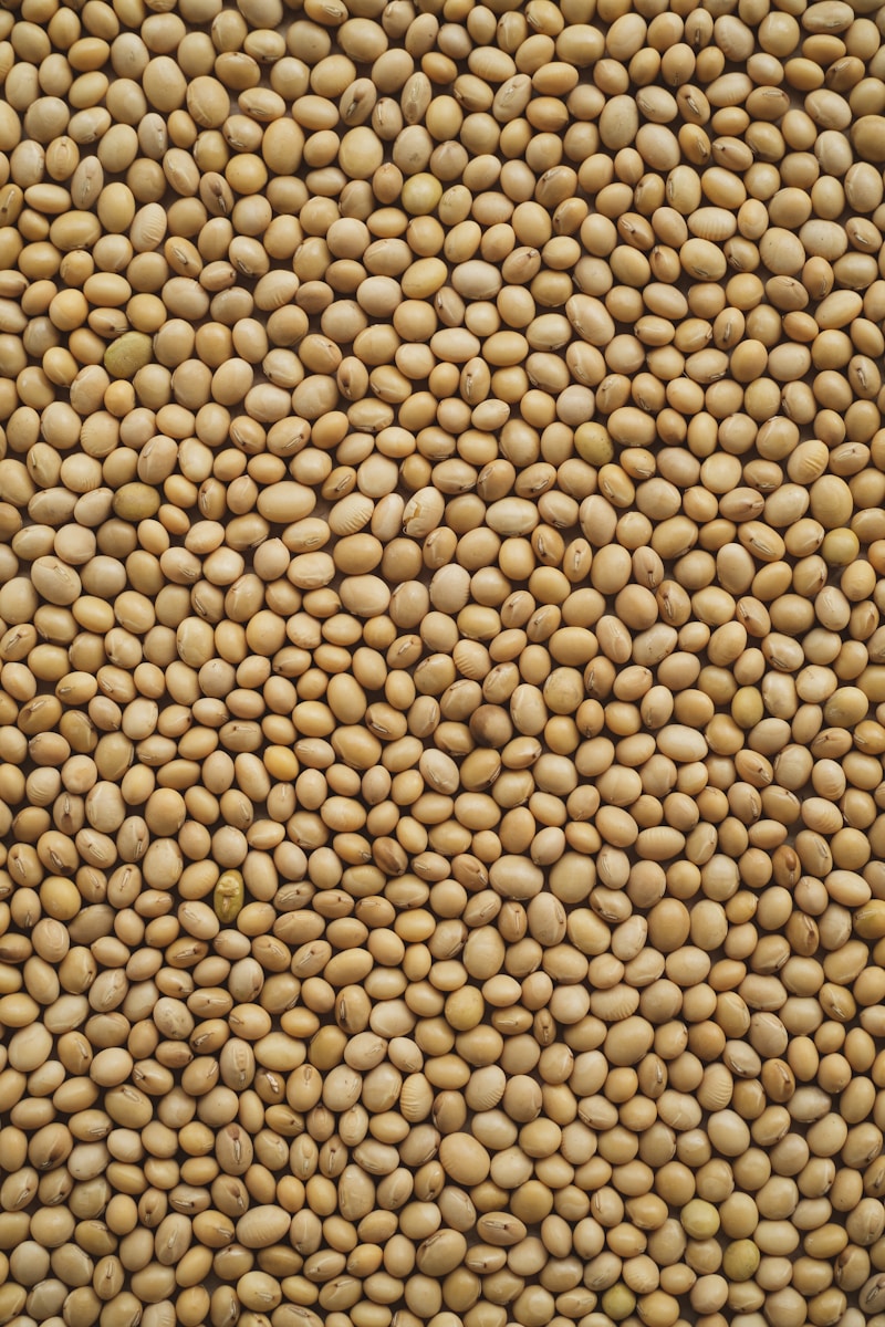 Soybeans